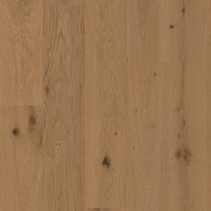 Anderson Tuftex Heritage Oak — Hearth · AA862-17071 — flooring selection with LeviArs Design & Remodeling