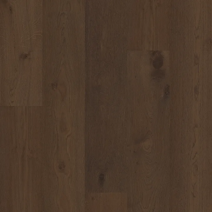 Anderson Tuftex Heritage Oak — Nocturne · AA862-19017 — flooring selection with LeviArs Design & Remodeling