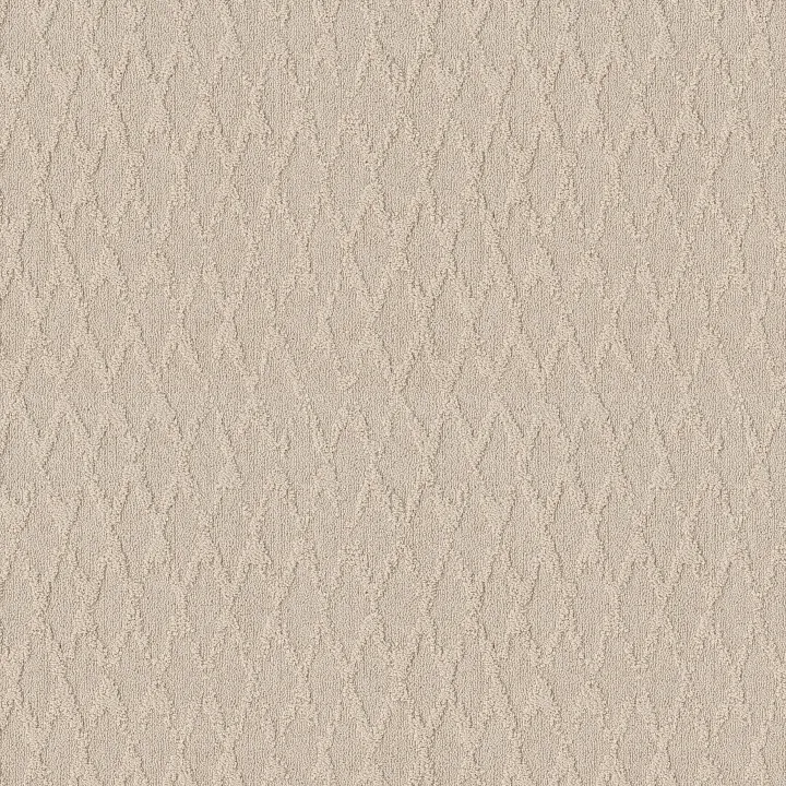 Anderson Tuftex Illumination — Bliss · ZZ337-00111 — flooring selection with LeviArs Design & Remodeling
