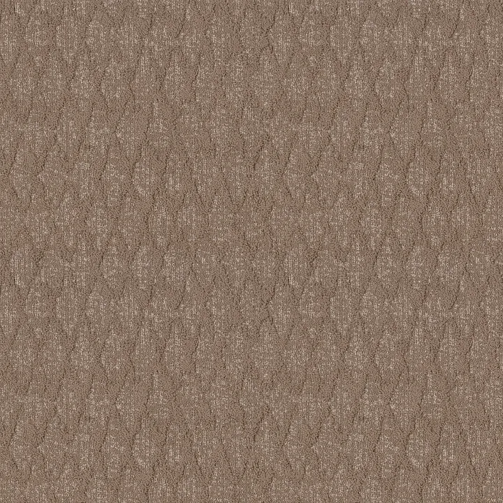Anderson Tuftex Illumination — Bungalow · ZZ337-00715 — flooring selection with LeviArs Design & Remodeling