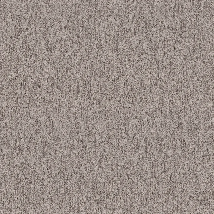Anderson Tuftex Illumination — Cape Cod · ZZ337-00574 — flooring selection with LeviArs Design & Remodeling