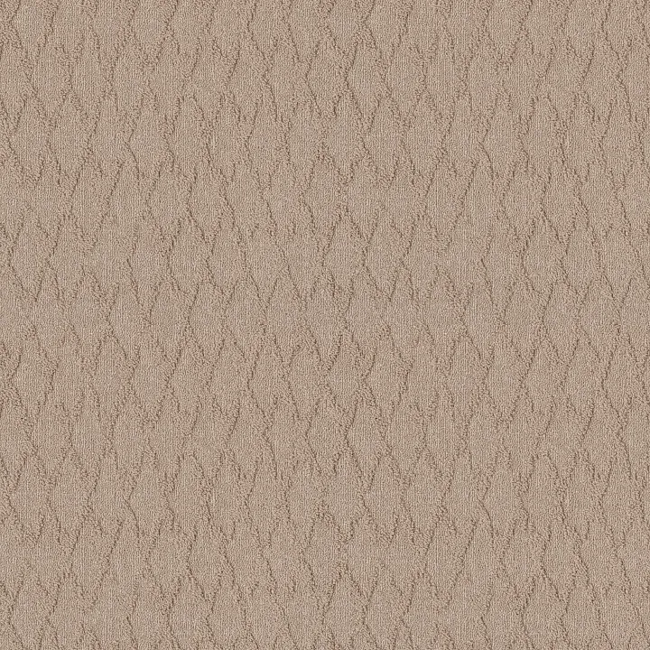 Anderson Tuftex Illumination — Destination · ZZ337-00173 — flooring selection with LeviArs Design & Remodeling