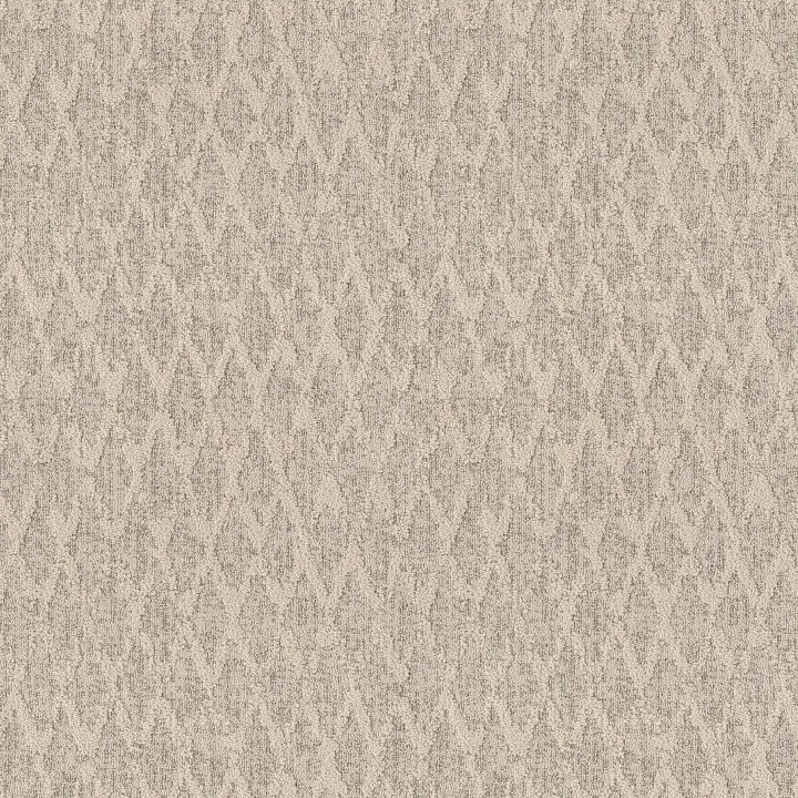 Anderson Tuftex Illumination — Enchanted · ZZ337-00151 — flooring selection with LeviArs Design & Remodeling