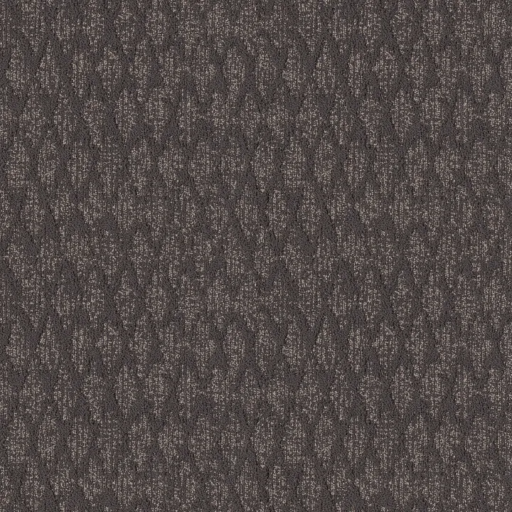 Anderson Tuftex Illumination — Luxury Suite · ZZ337-00579 — flooring selection with LeviArs Design & Remodeling