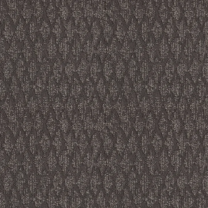 Anderson Tuftex Illumination — Onyx · ZZ337-00559 — flooring selection with LeviArs Design & Remodeling