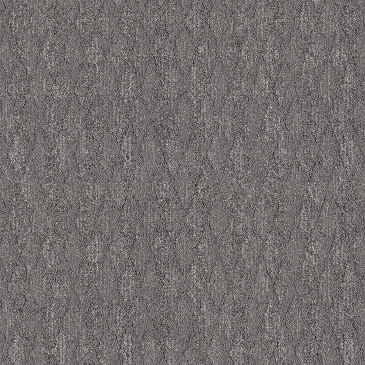 Anderson Tuftex Illumination — Platinum · ZZ337-00544 — flooring selection with LeviArs Design & Remodeling