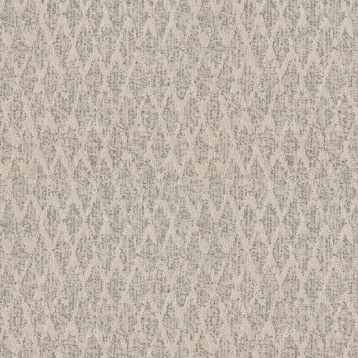 Anderson Tuftex Illumination — Posh · ZZ337-00152 — flooring selection with LeviArs Design & Remodeling