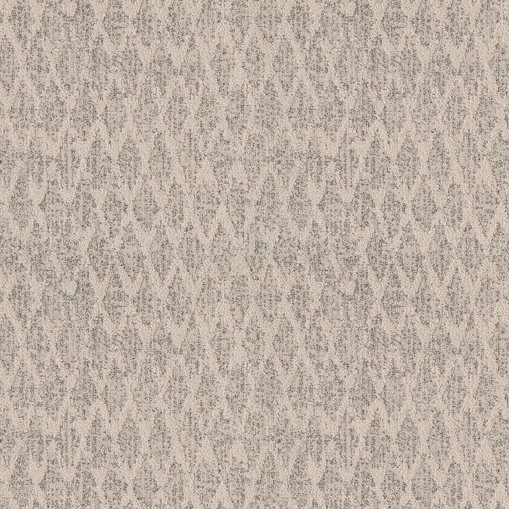 Anderson Tuftex Illumination — Sanctuary · ZZ337-00153 — flooring selection with LeviArs Design & Remodeling
