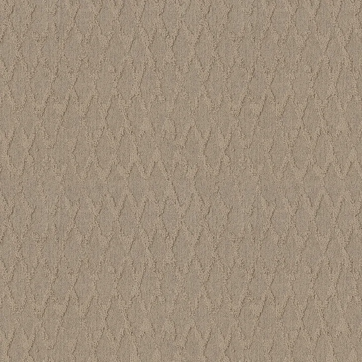 Anderson Tuftex Illumination — Silhouette · ZZ337-00123 — flooring selection with LeviArs Design & Remodeling