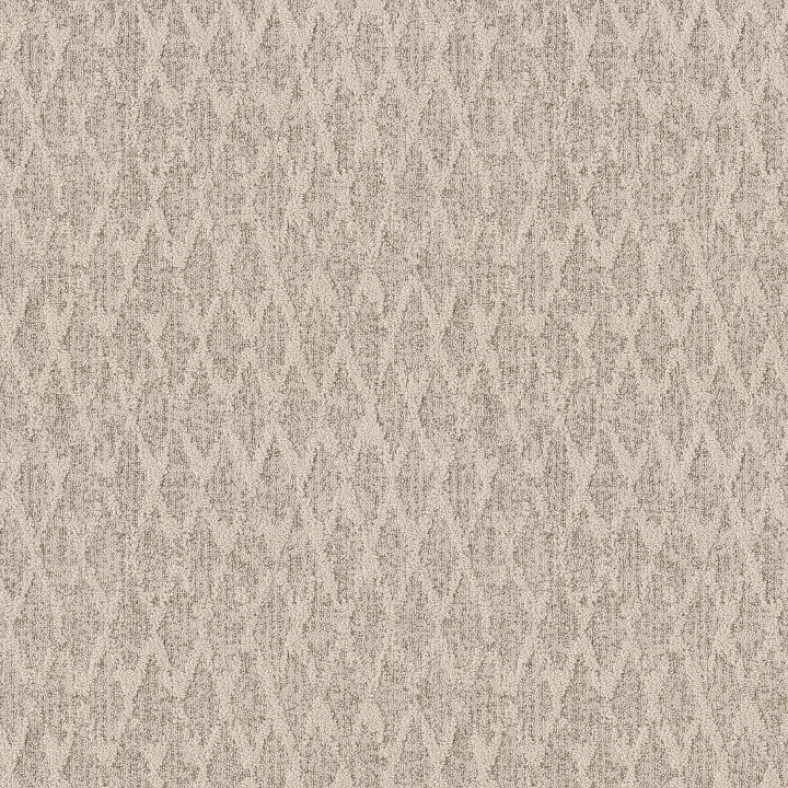 Anderson Tuftex Illumination — Veranda · ZZ337-00171 — flooring selection with LeviArs Design & Remodeling
