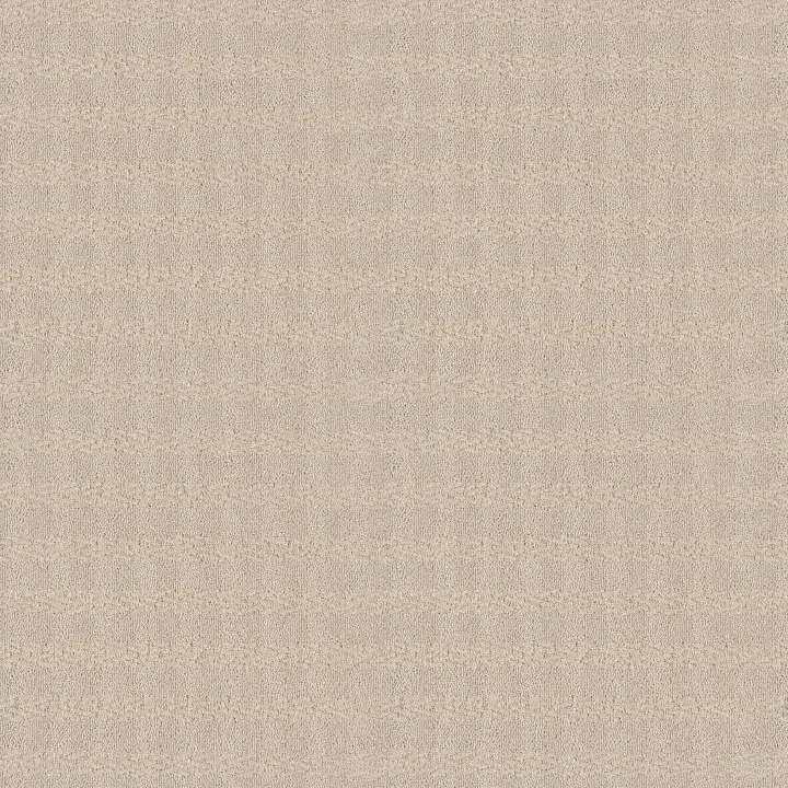 Anderson Tuftex Imagination — Bliss · ZZ336-00111 — flooring selection with LeviArs Design & Remodeling