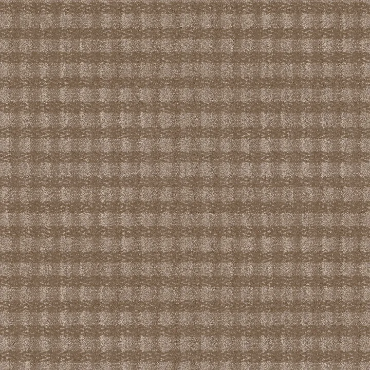Anderson Tuftex Imagination — Bungalow · ZZ336-00715 — flooring selection with LeviArs Design & Remodeling