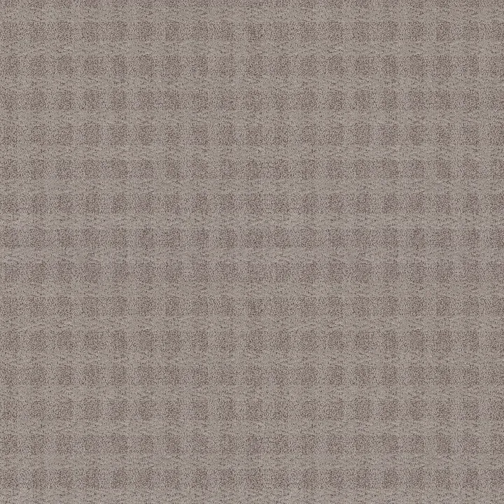 Anderson Tuftex Imagination — Cape Cod · ZZ336-00574 — flooring selection with LeviArs Design & Remodeling
