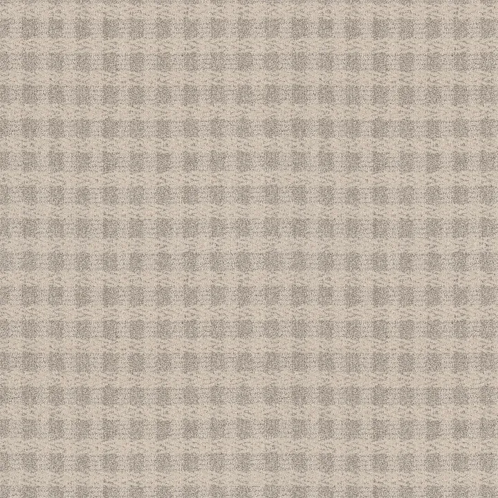 Anderson Tuftex Imagination — Enchanted · ZZ336-00151 — flooring selection with LeviArs Design & Remodeling