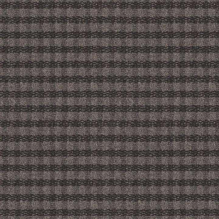 Anderson Tuftex Imagination — Luxury Suite · ZZ336-00579 — flooring selection with LeviArs Design & Remodeling