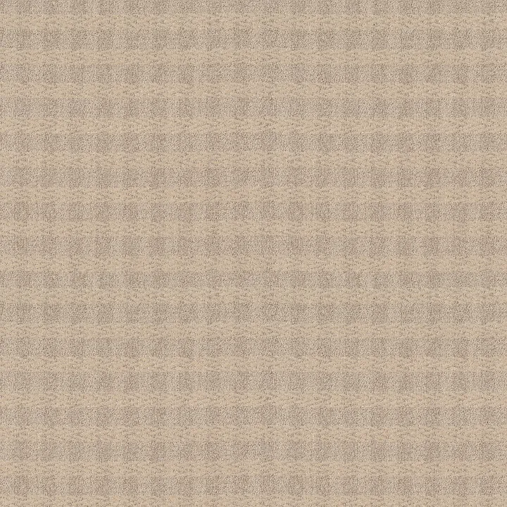 Anderson Tuftex Imagination — Paris Cafe · ZZ336-00212 — flooring selection with LeviArs Design & Remodeling
