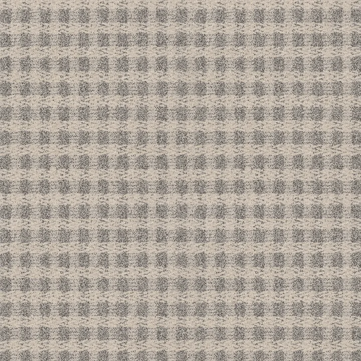 Anderson Tuftex Imagination — Penthouse · ZZ336-00154 — flooring selection with LeviArs Design & Remodeling