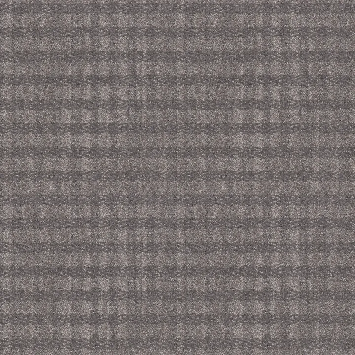 Anderson Tuftex Imagination — Platinum · ZZ336-00544 — flooring selection with LeviArs Design & Remodeling