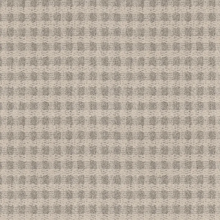 Anderson Tuftex Imagination — Posh · ZZ336-00152 — flooring selection with LeviArs Design & Remodeling