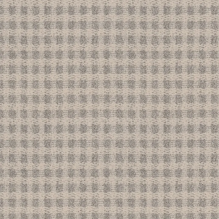 Anderson Tuftex Imagination — Sanctuary · ZZ336-00153 — flooring selection with LeviArs Design & Remodeling