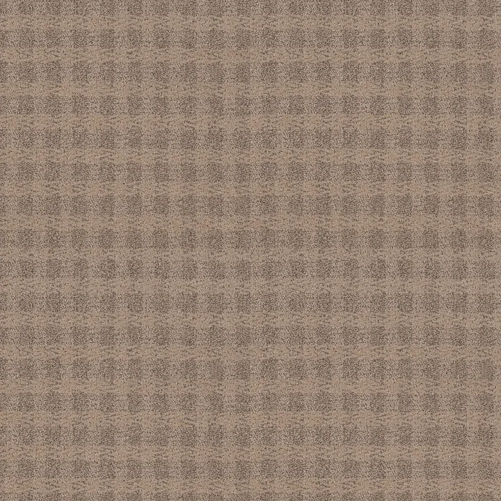 Anderson Tuftex Imagination — Villa · ZZ336-00774 — flooring selection with LeviArs Design & Remodeling