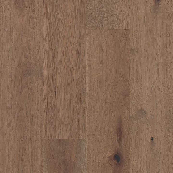 Anderson Tuftex Imperial Pecan — Fawn · AA828-11055 — flooring selection with LeviArs Design & Remodeling