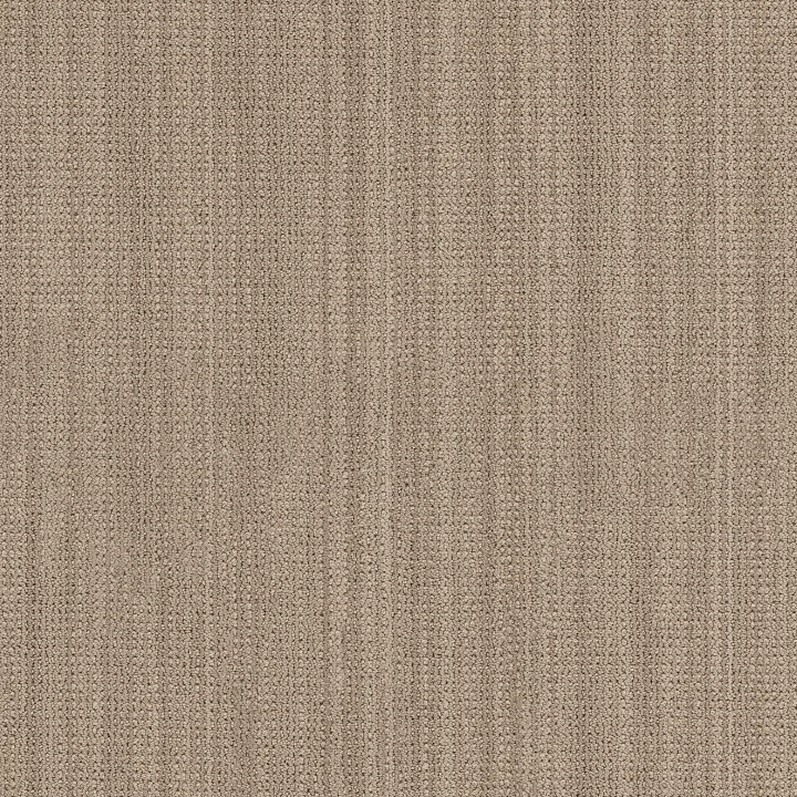 Anderson Tuftex In Rhythm — Bagel · ZZ369-00106 — flooring selection with LeviArs Design & Remodeling