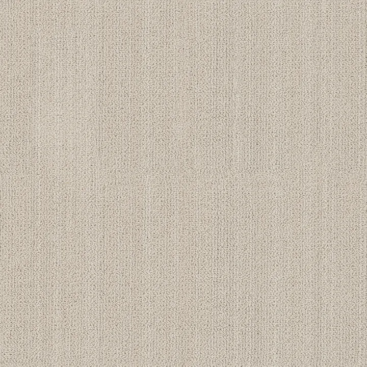 Anderson Tuftex In Rhythm — Coconut Milk · ZZ369-00100 — flooring selection with LeviArs Design & Remodeling