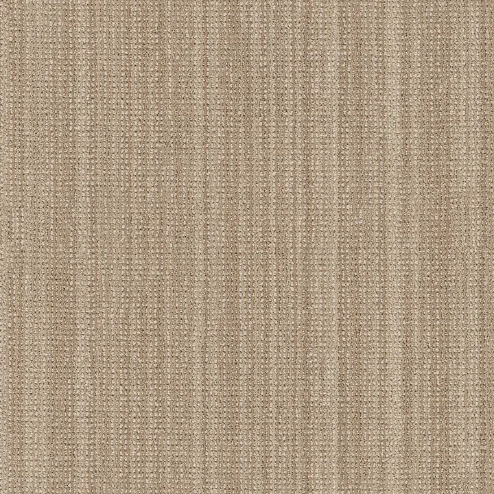 Anderson Tuftex In Rhythm — Ginger Root · ZZ369-00104 — flooring selection with LeviArs Design & Remodeling