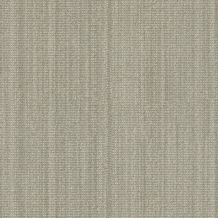 Anderson Tuftex In Rhythm — Ivy · ZZ369-00300 — flooring selection with LeviArs Design & Remodeling