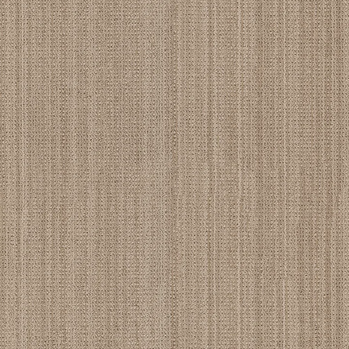 Anderson Tuftex In Rhythm — Windmill · ZZ369-00105 — flooring selection with LeviArs Design & Remodeling