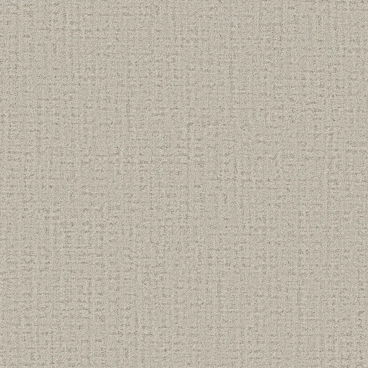 Anderson Tuftex In Step — Almond · ZZ368-00110 — flooring selection with LeviArs Design & Remodeling