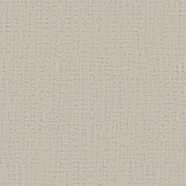 Anderson Tuftex In Step — Blush · ZZ368-00810 — flooring selection with LeviArs Design & Remodeling