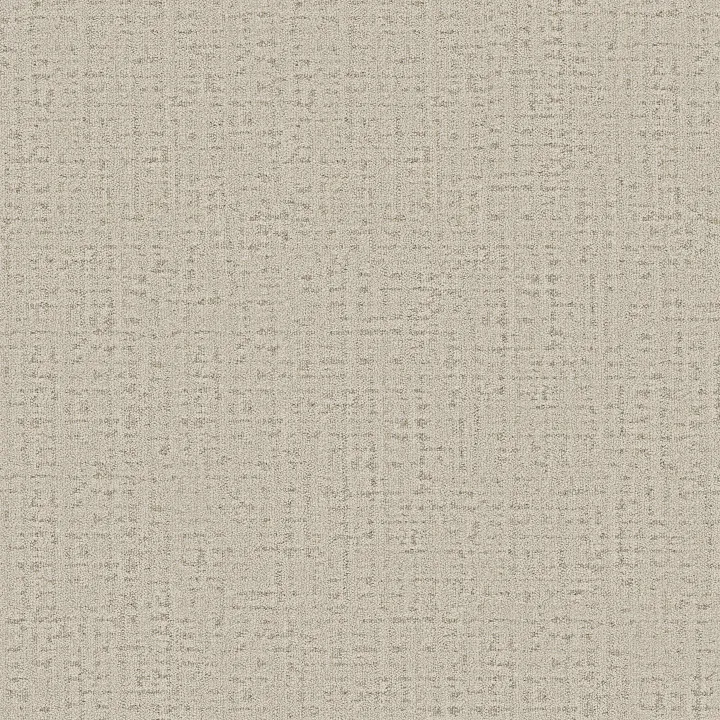 Anderson Tuftex In Step — Buff · ZZ368-00111 — flooring selection with LeviArs Design & Remodeling
