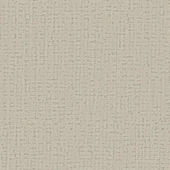 Anderson Tuftex In Step — Canvas · ZZ368-00112 — flooring selection with LeviArs Design & Remodeling
