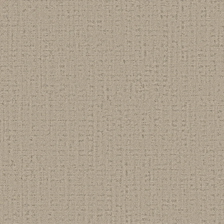 Anderson Tuftex In Step — Cliffside · ZZ368-00710 — flooring selection with LeviArs Design & Remodeling