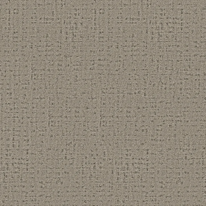 Anderson Tuftex In Step — Derby · ZZ368-00713 — flooring selection with LeviArs Design & Remodeling