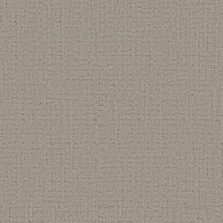 Anderson Tuftex In Step — Driftwood · ZZ368-00712 — flooring selection with LeviArs Design & Remodeling