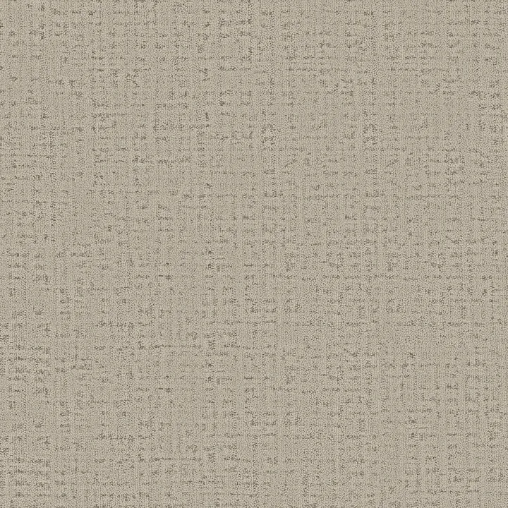 Anderson Tuftex In Step — Dunes · ZZ368-00113 — flooring selection with LeviArs Design & Remodeling