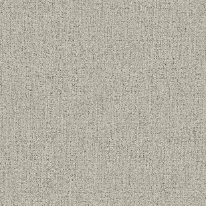 Anderson Tuftex In Step — Oatmeal · ZZ368-00114 — flooring selection with LeviArs Design & Remodeling