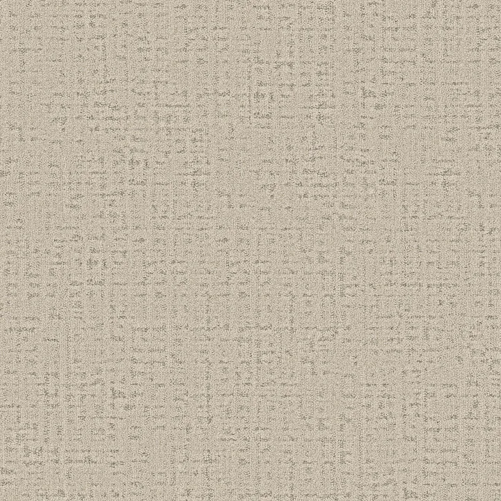 Anderson Tuftex In Step — Rock Crystal · ZZ368-00510 — flooring selection with LeviArs Design & Remodeling