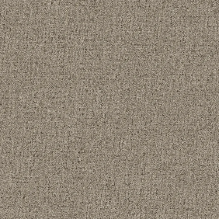 Anderson Tuftex In Step — Saddle · ZZ368-00711 — flooring selection with LeviArs Design & Remodeling
