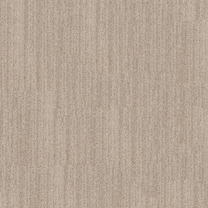 Anderson Tuftex In Tempo — Blush · ZZ367-00810 — flooring selection with LeviArs Design & Remodeling