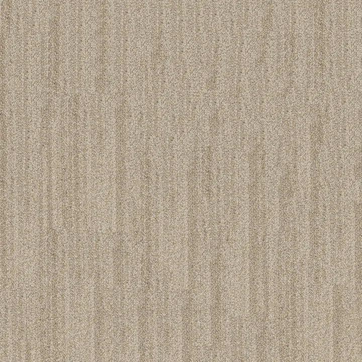 Anderson Tuftex In Tempo — Buff · ZZ367-00111 — flooring selection with LeviArs Design & Remodeling