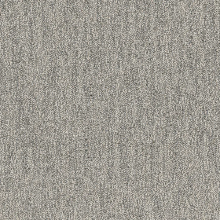 Anderson Tuftex In Tempo — Coastal · ZZ367-00411 — flooring selection with LeviArs Design & Remodeling