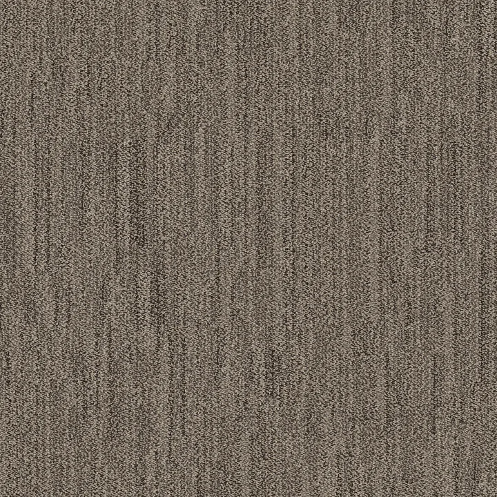 Anderson Tuftex In Tempo — Derby · ZZ367-00713 — flooring selection with LeviArs Design & Remodeling