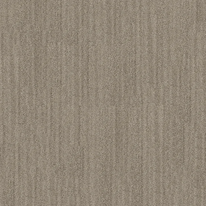 Anderson Tuftex In Tempo — Driftwood · ZZ367-00712 — flooring selection with LeviArs Design & Remodeling