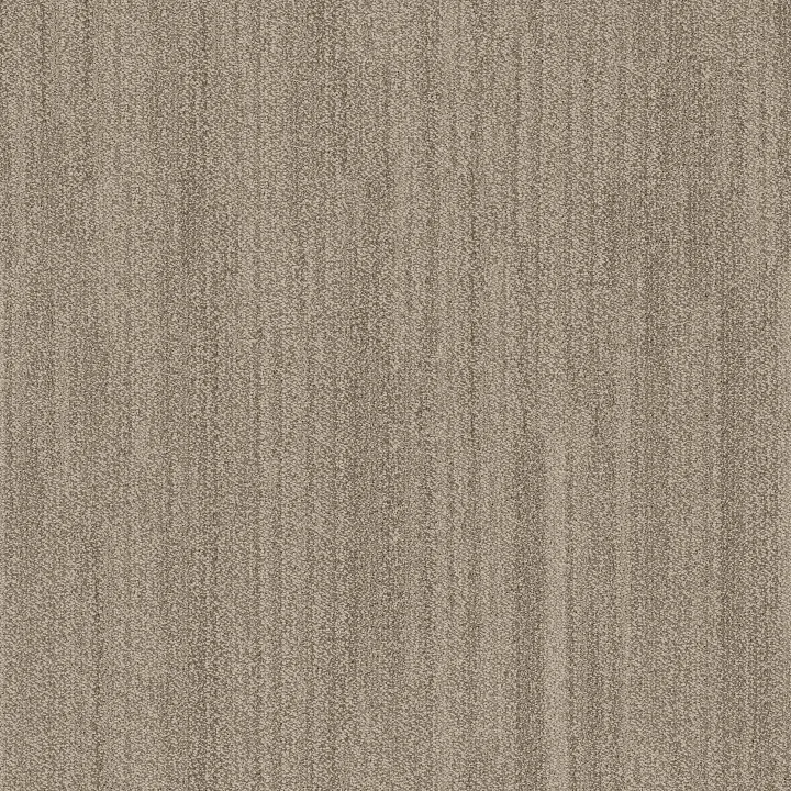 Anderson Tuftex In Tempo — Dunes · ZZ367-00113 — flooring selection with LeviArs Design & Remodeling
