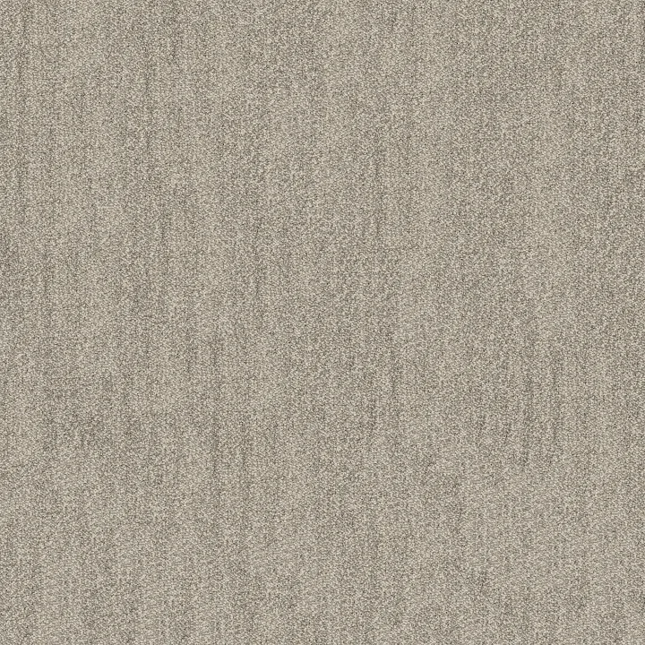 Anderson Tuftex In Tempo — Rock Crystal · ZZ367-00510 — flooring selection with LeviArs Design & Remodeling