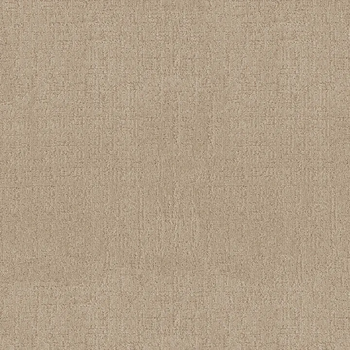 Anderson Tuftex Indulgent — Champagne · ZZ331-00141 — flooring selection with LeviArs Design & Remodeling